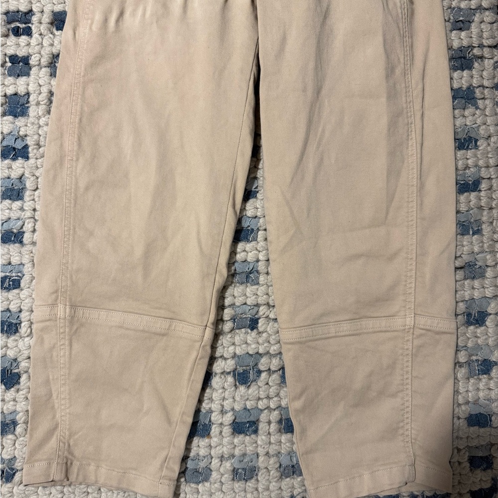 EVERLANE Barrel Utility Pants